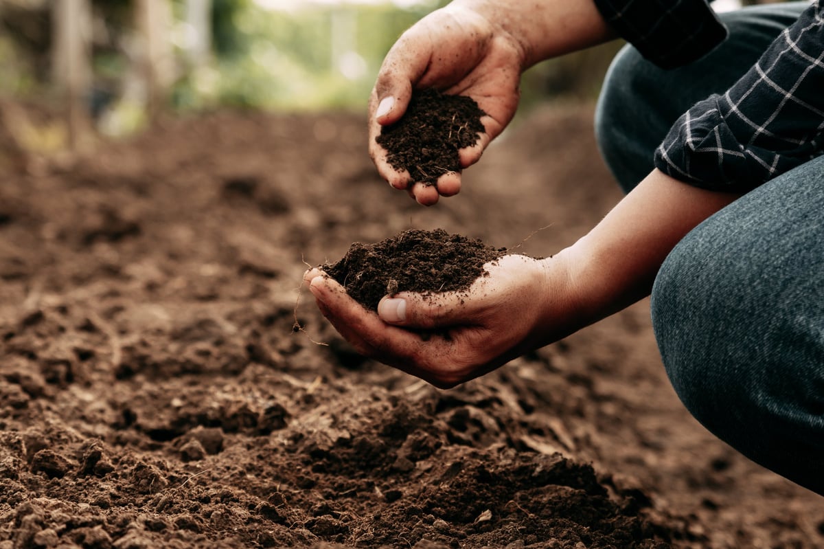 Hand of farmer inspecting soil health before planting in organic farm