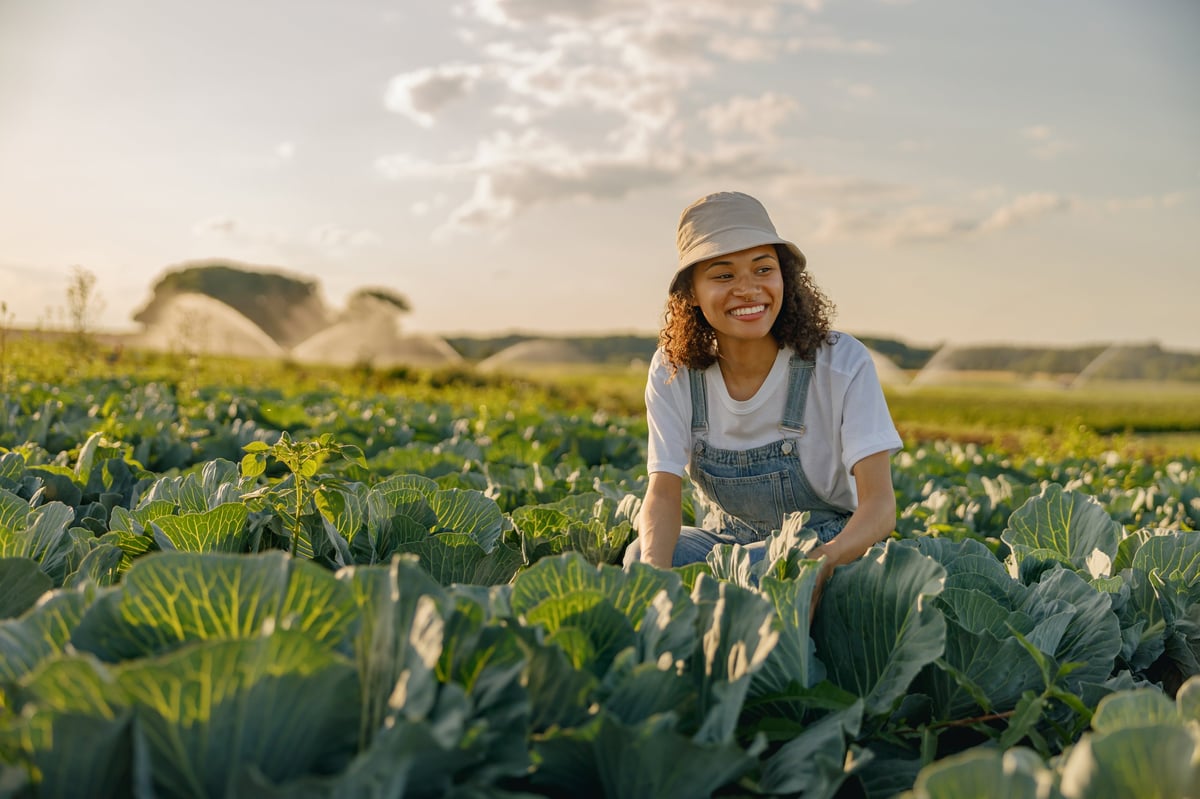 Agricultora en uniforme trabajando en campo de coles