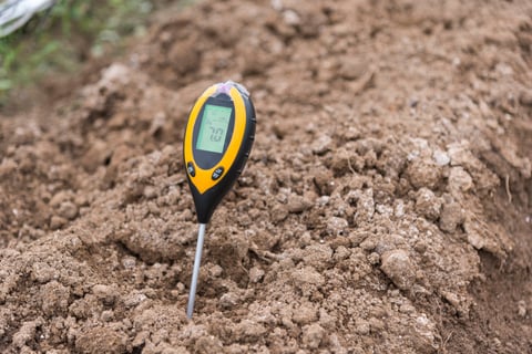 Soil pH testing in field