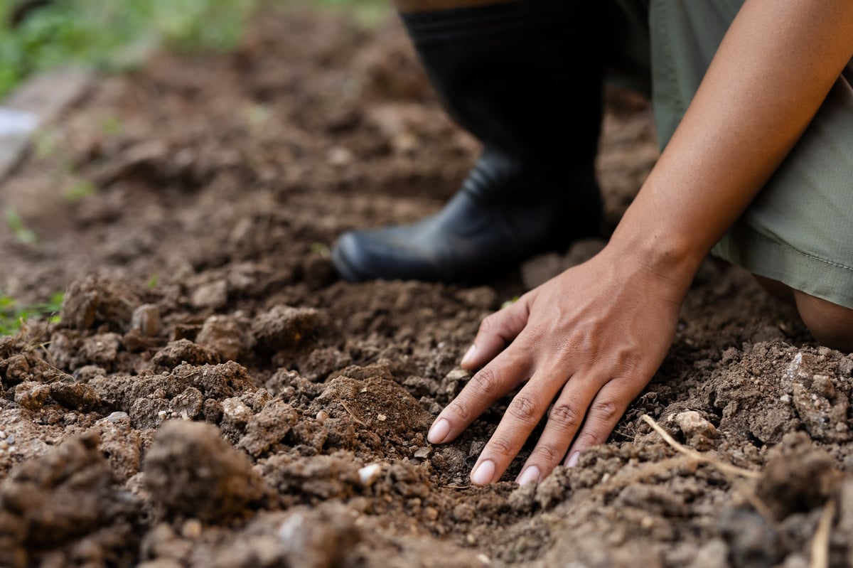 soil Health and Quality check by expert farmer