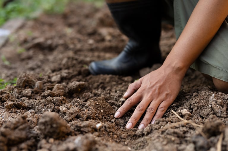 soil Health and Quality check by expert farmer