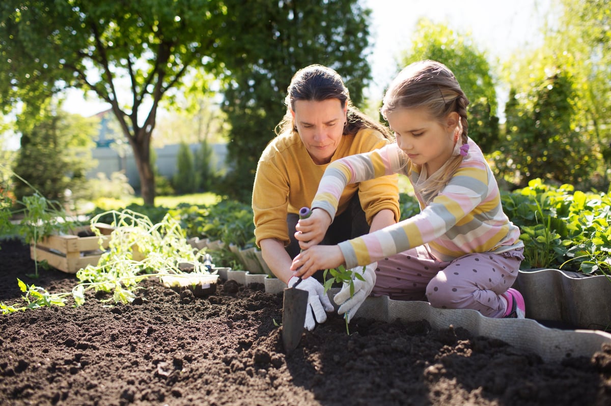 Family planting seedlings in garden