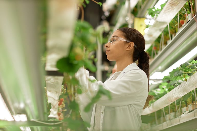 Female scientist examining plants in an indoor vertical farm