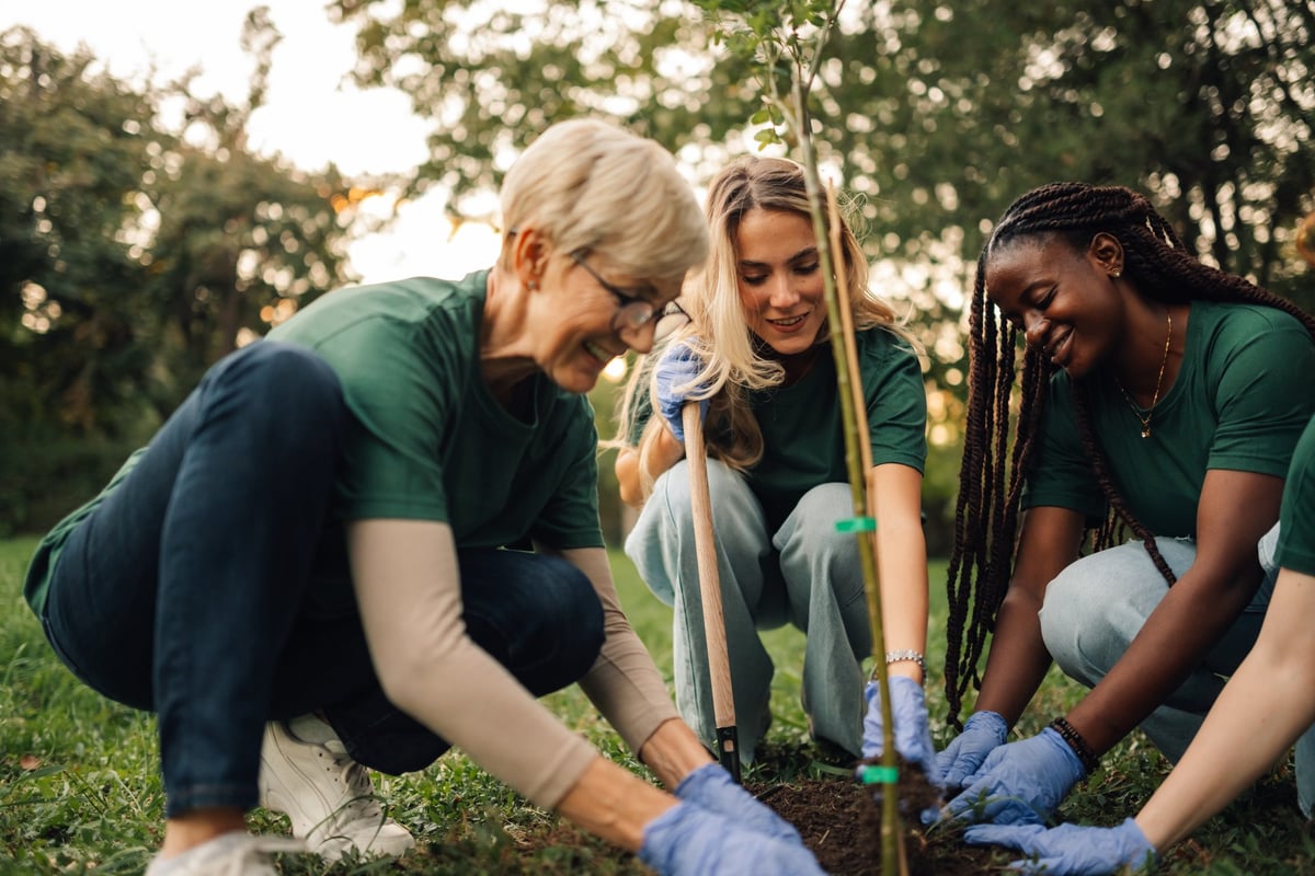 Volunteers plant a tree