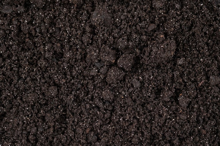 Close up of soil texture background