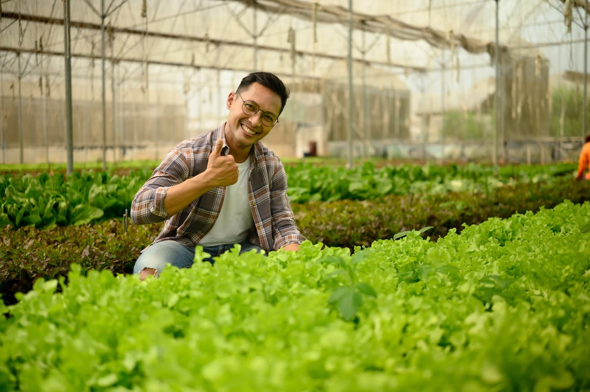 Smiling farmer giving thumbs up in greenhouse