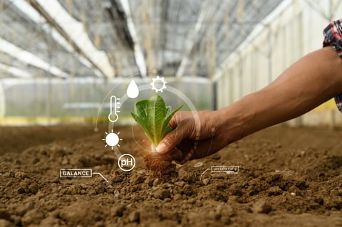 Farmer holding young seedling with digital smart farming interface