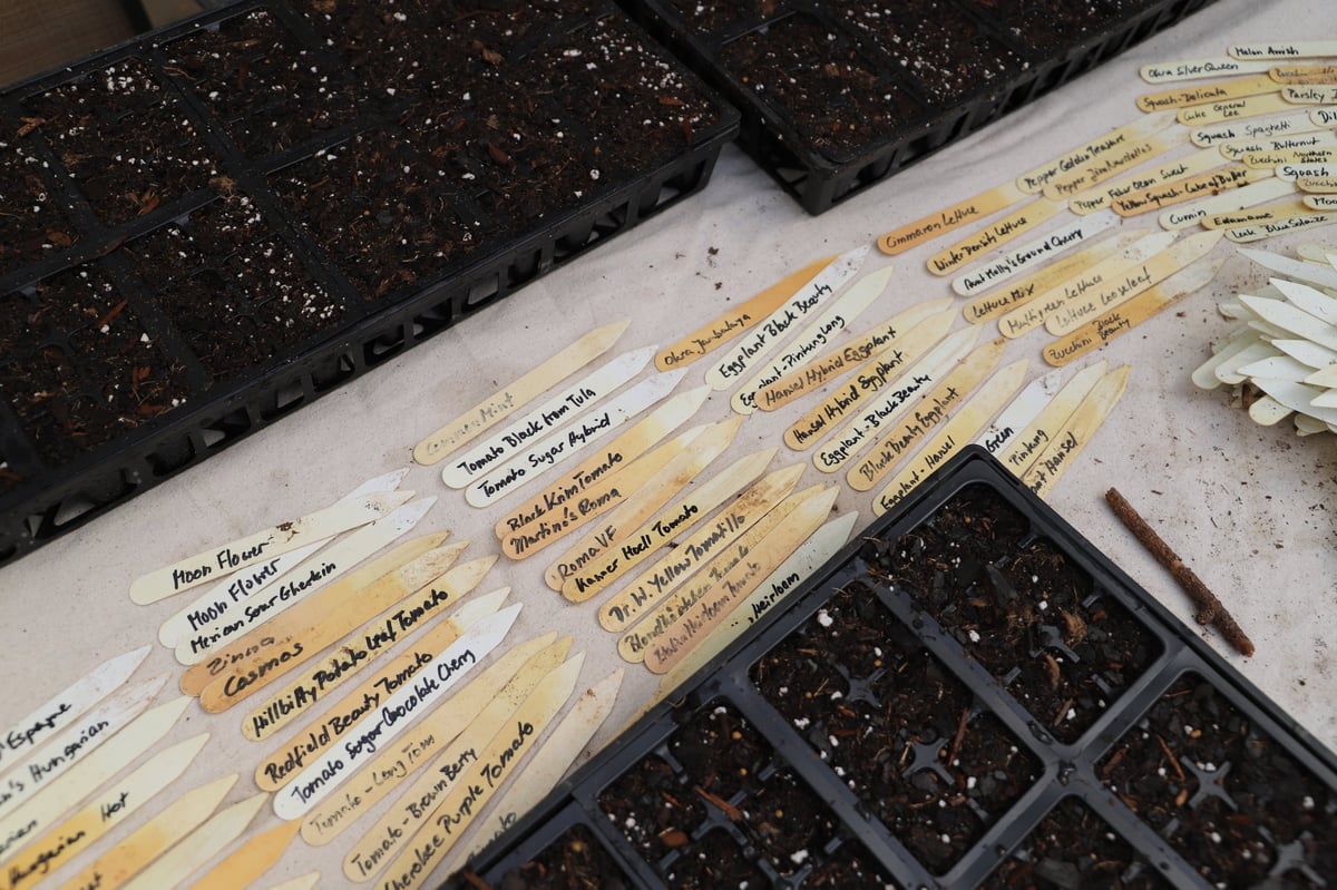 Seed starting trays and plant labels for home growing