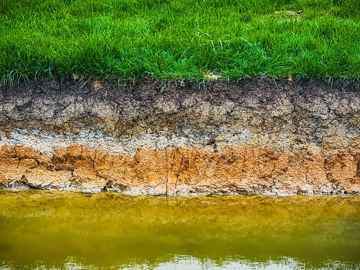 A close-up of the soil layers, from rich green grass to dark earth, light sand and murky water. The texture of each layer and the color differences are visible.