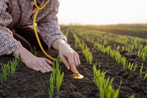 Monitoring crop growth in field
