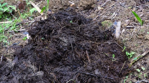 Pila de compost orgánico