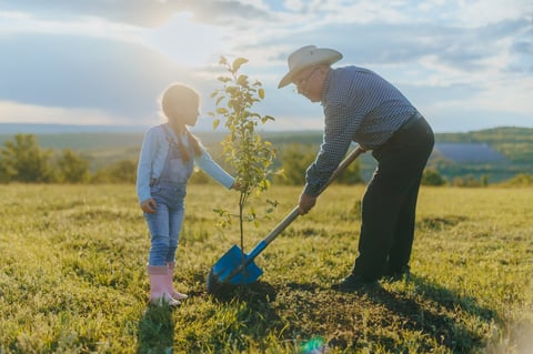 A young girl holds a sapling as her grandfather digs beside her in a green field