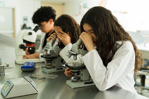University students in agricultural science lab