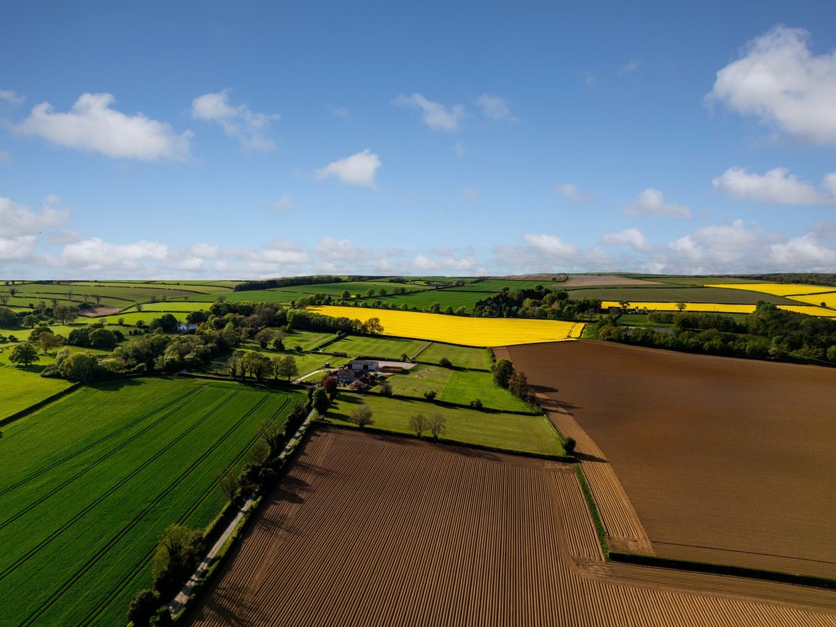 Stunning aerial view of colorful farm fields with yellow rapeseed and green crops in neat rows