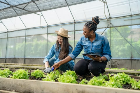 Female agronomist teaching farmer