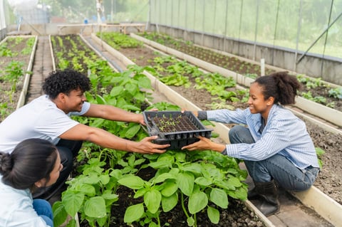 Community agricultural education workshop