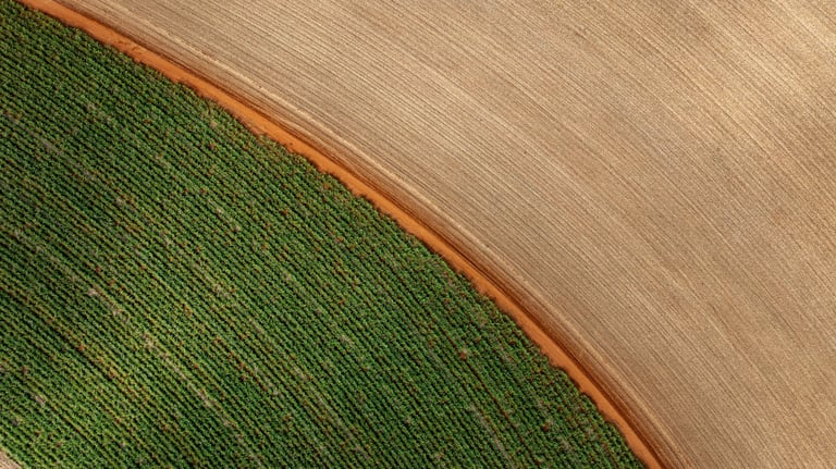 Drone view of agricultural field