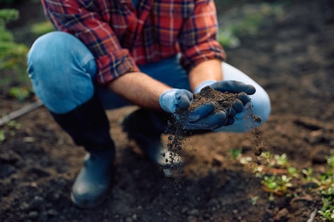 Close up of farm worker examining soil at plant nursery