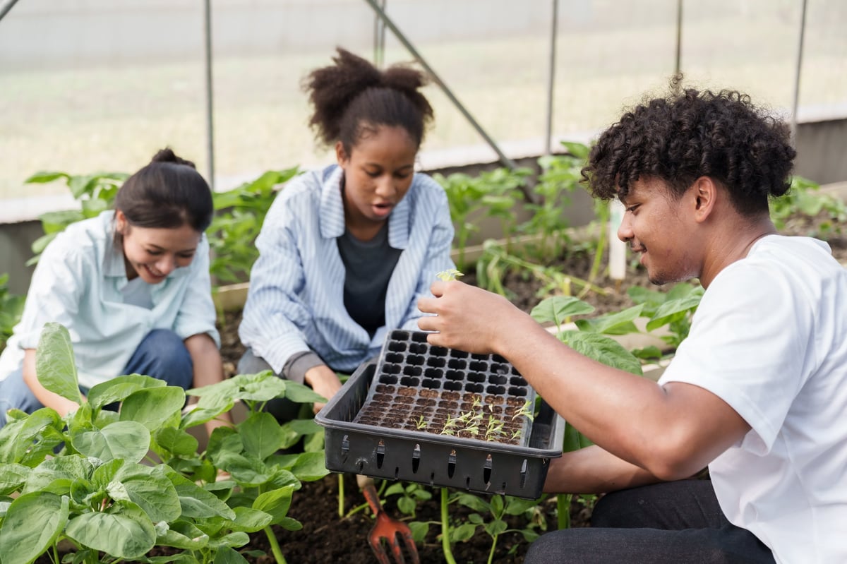 Multiracial group of students working together in greenhouse planting vegetable seedlings during school agriculture lesson developing teamwork hands-on experience and sustainable farming knowledge