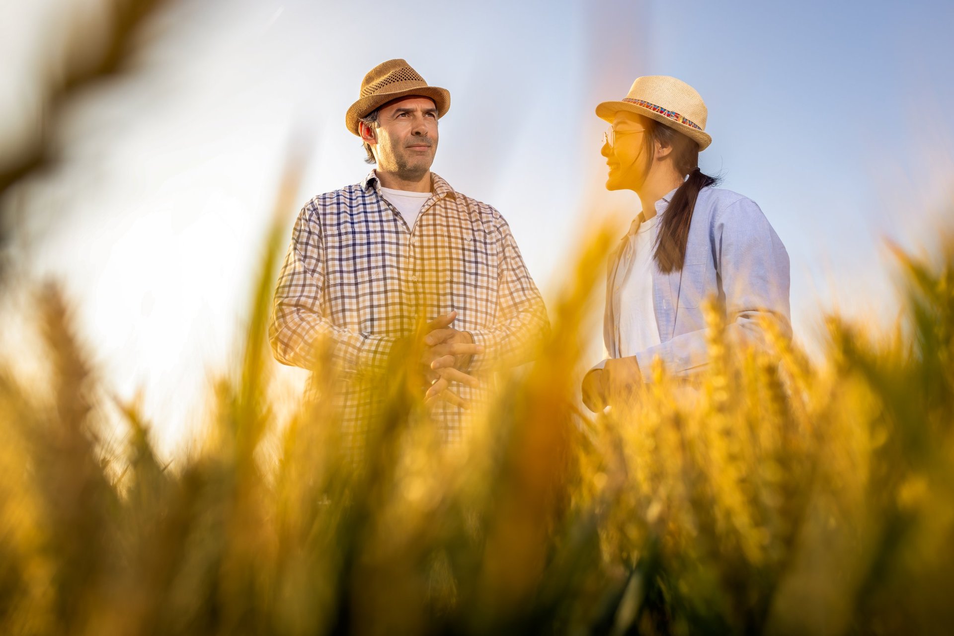Two workers stand in a wheat-covered area actively discussing upcoming tasks.