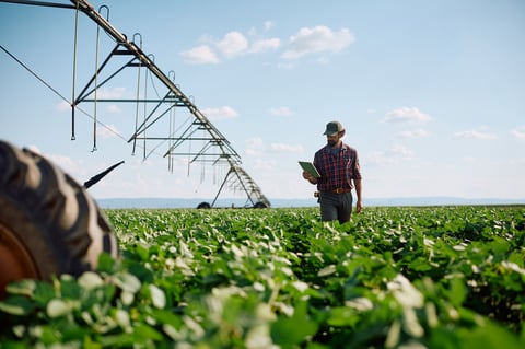 Farm worker examining crop growth