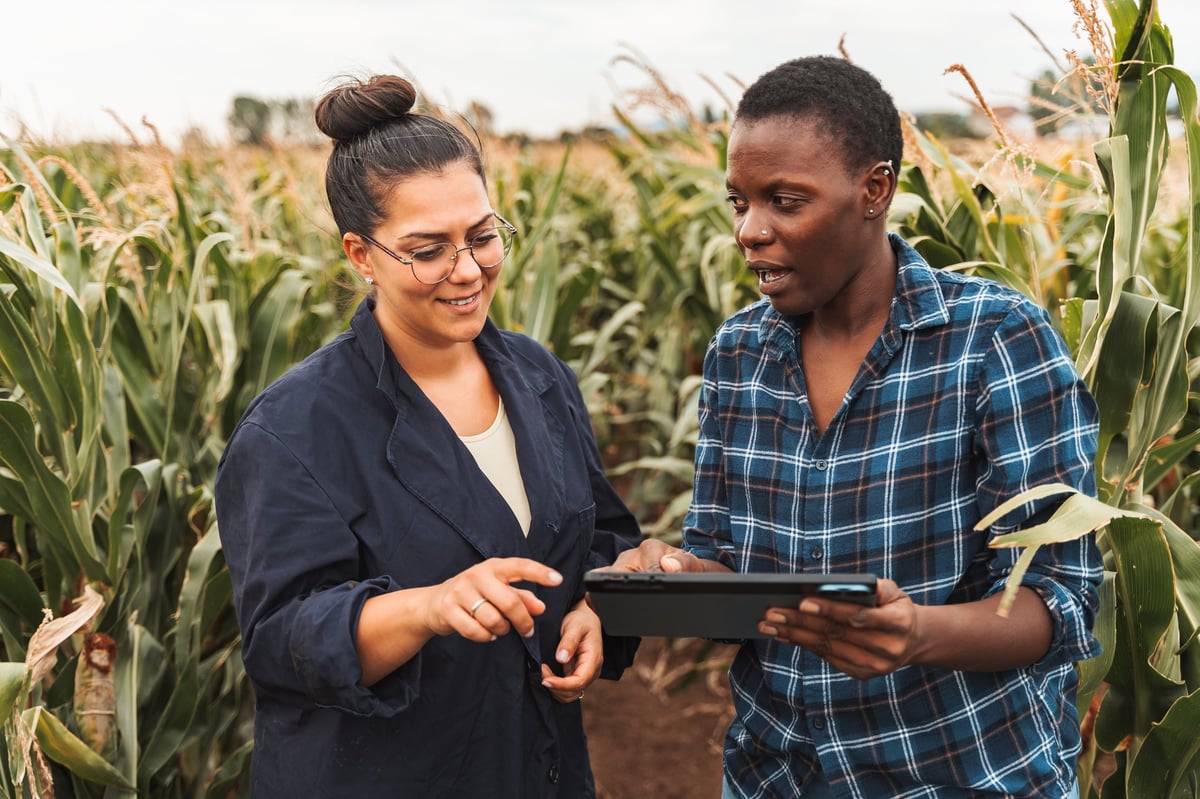 Agronomist showing data on tablet to farmer in corn field