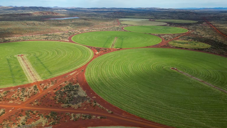 circular fields in the outback of Western Australia, photograped with a drone