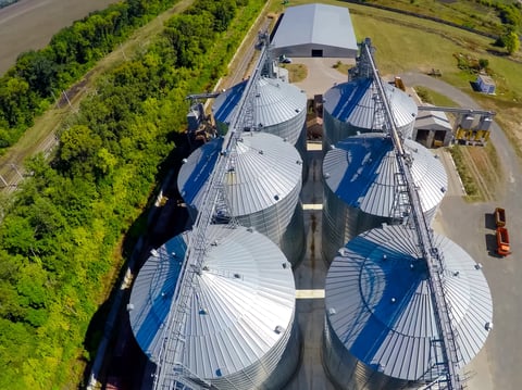 Grain terminal and plant for storage in agricultural fields