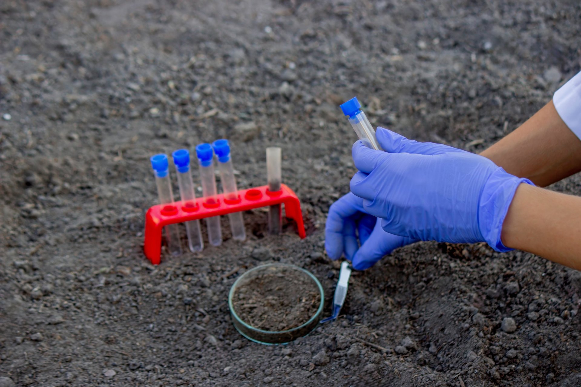 A scientist takes soil into a test tube for analysis. Selective focus