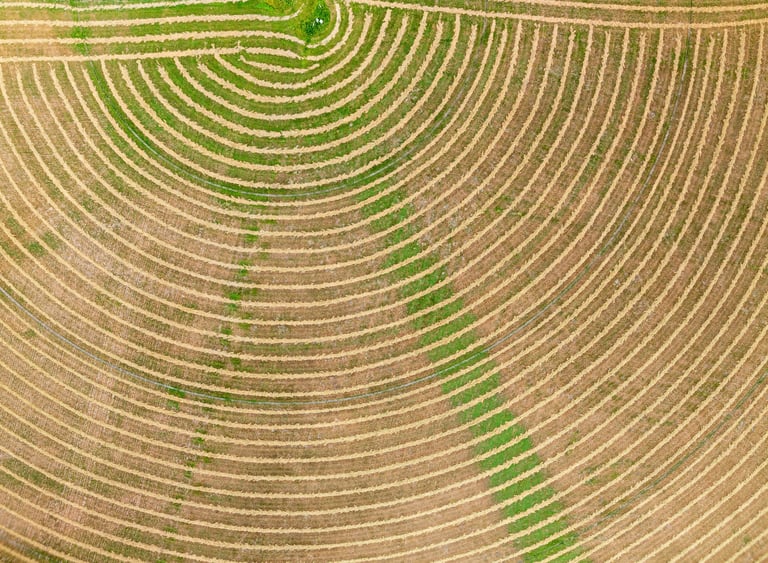 Aerial view of the patterns created by rotating irrigation machine system