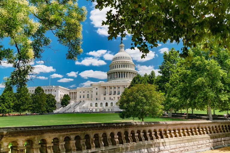 United States Capitol framed by lush summer foliage