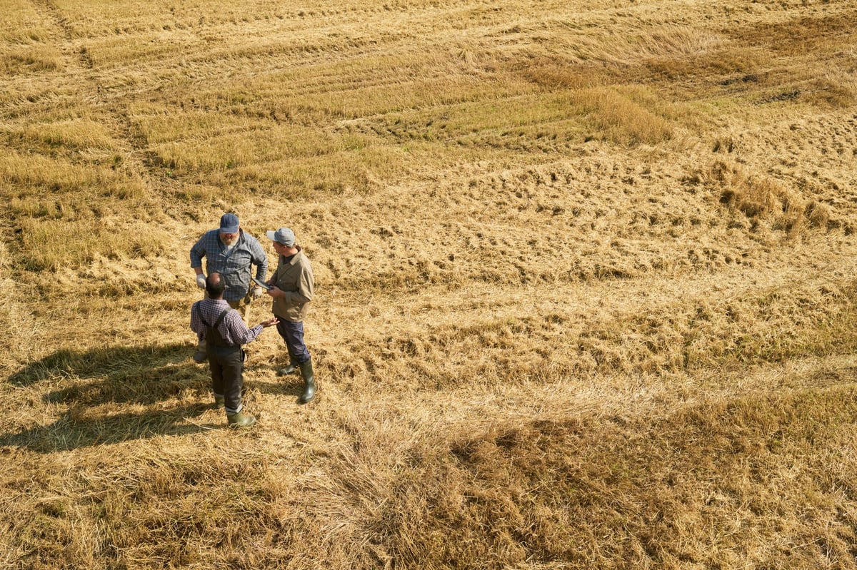 Agricultural leaders discussing in field