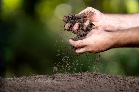 Hands holding soil for analysis