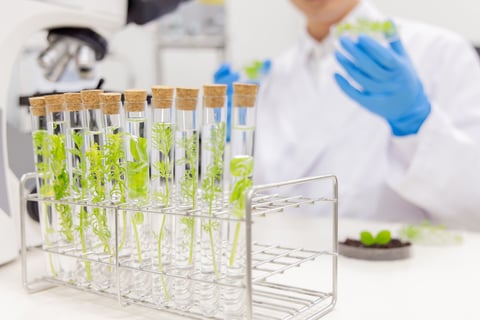 Asian man in a white coat working in a laboratory