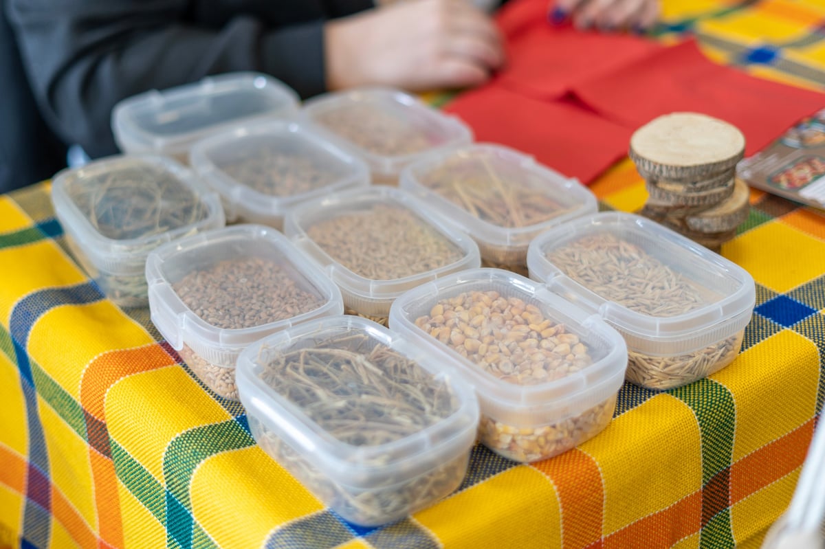Agricultural seeds organized in retail-ready packaging