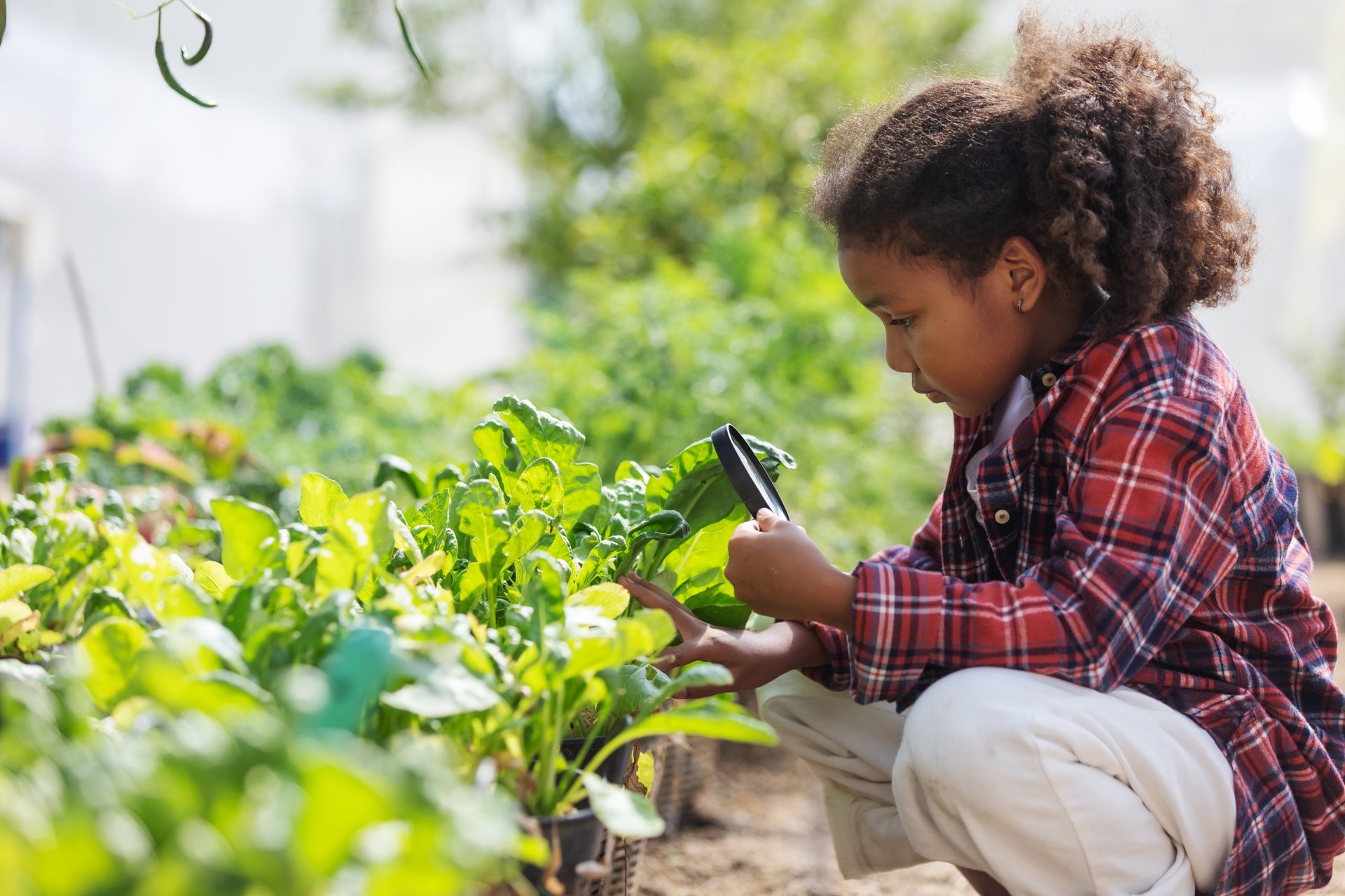 A young child carefully examines leafy vegetables in a garden using a magnifying glass, symbolizing food care, curiosity, and sustainable growing.