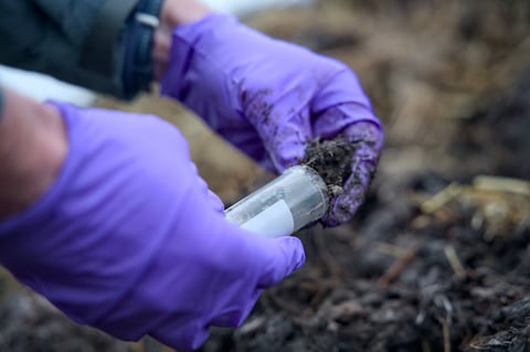 Soil analysis in laboratory