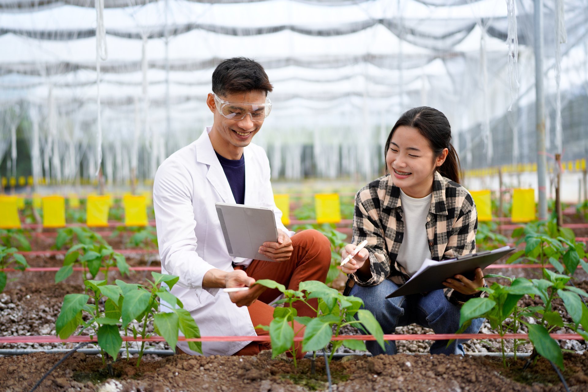 Practical agricultural studies of adolescent students, with scientists providing guidance, demonstrating hypotheses on soil sampling and data recording in greenhouse. Hands on training in high school.