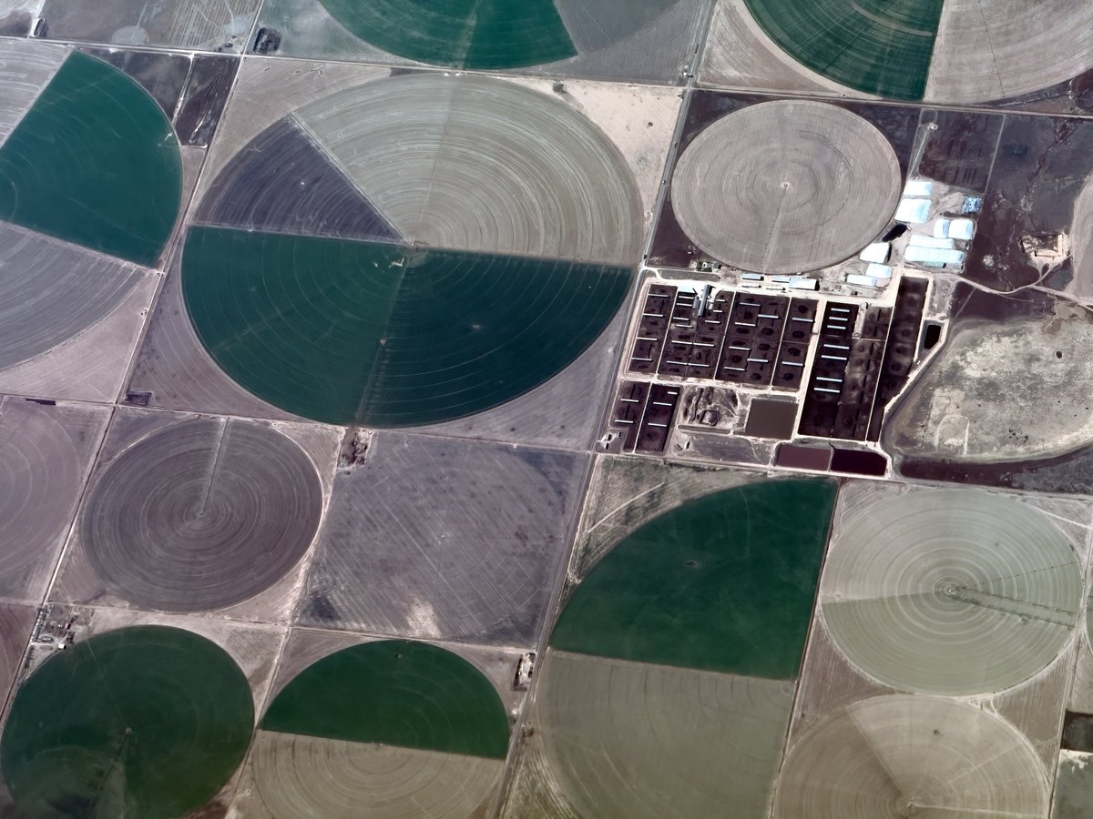 High-angle view of green and brown circular crop fields and a large agricultural facility in a rural landscape in Hartley County, Texas, USA.