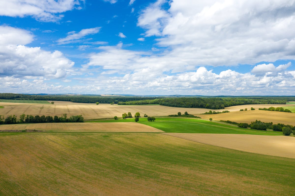 Colorful agricultural fields in shades of green and gold stretch across the countryside, bordered by forest and set beneath a sky filled with textured clouds.