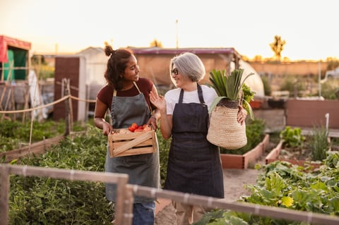 Community members with harvested produce