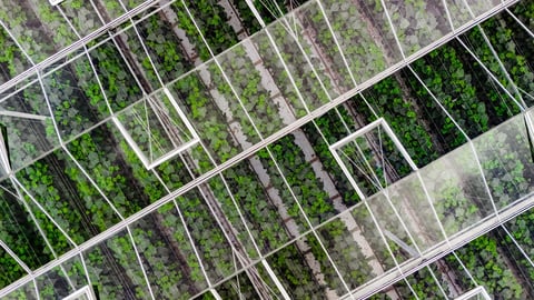 Modern agricultural facility aerial view