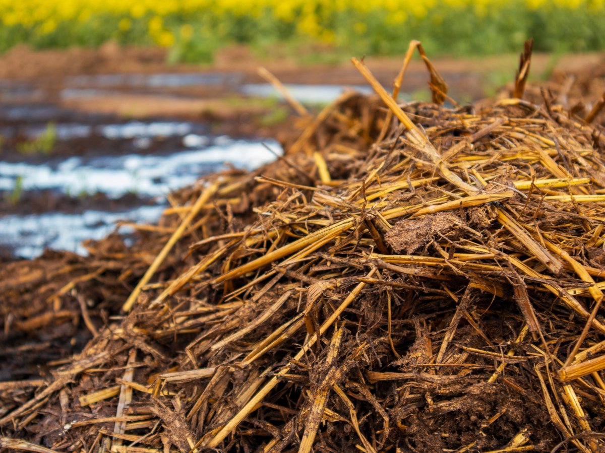 Pilha de matéria orgânica em terra agrícola para saúde do solo
