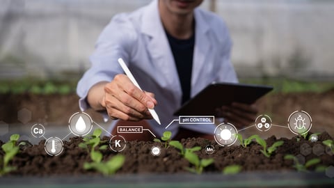 Small-scale organic farming