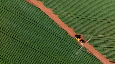 Top down aerial view of a tractor spraying pesticides on a green peanut plantation