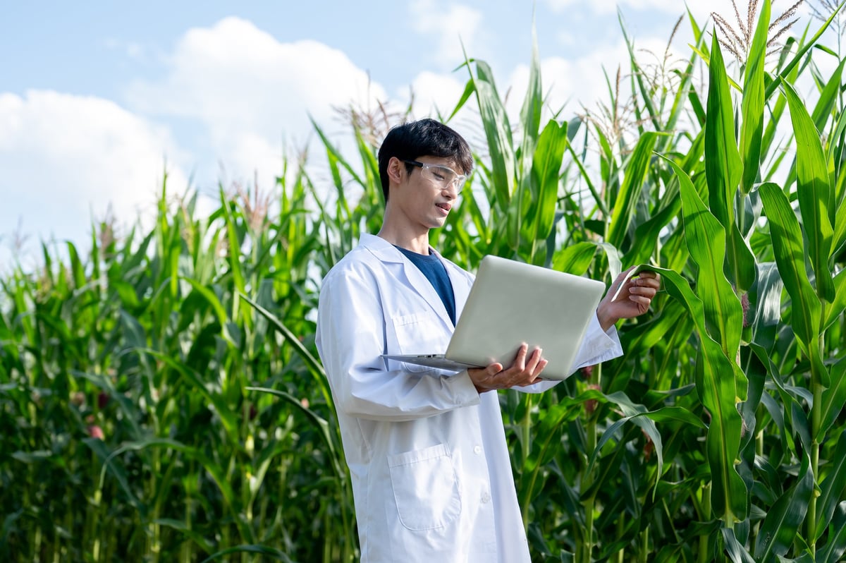 Asian agricultural researcher man holding green crop tree looking at laptop in farm
