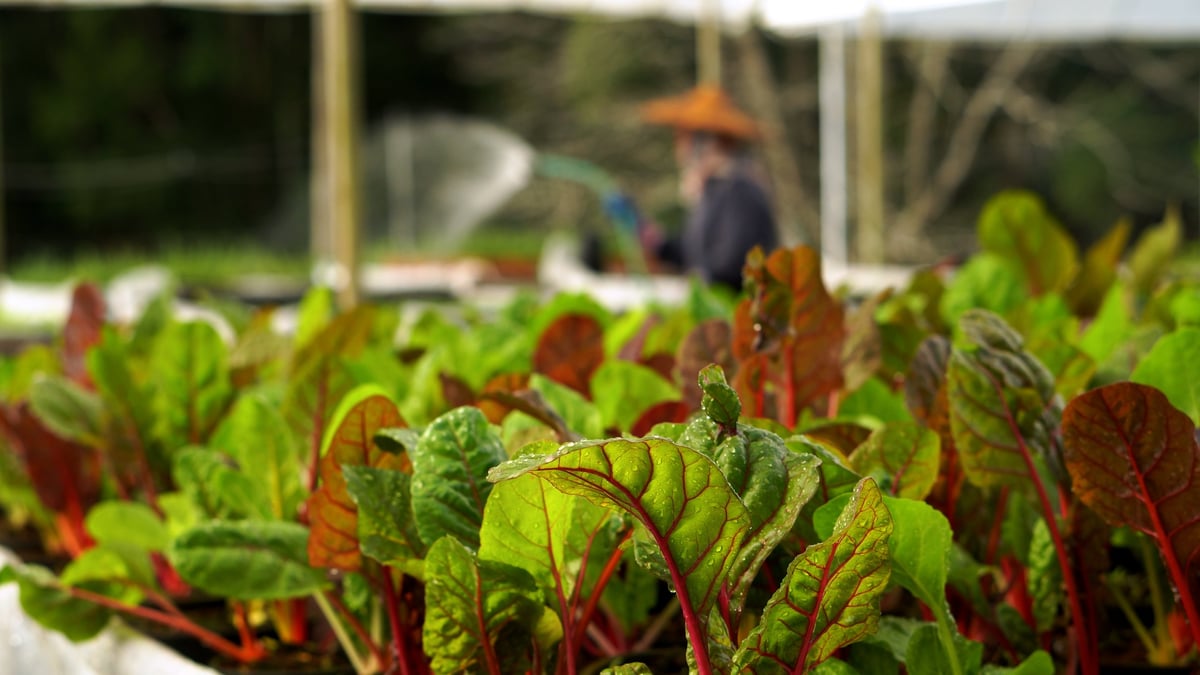 Eco green sustainable farm landscape