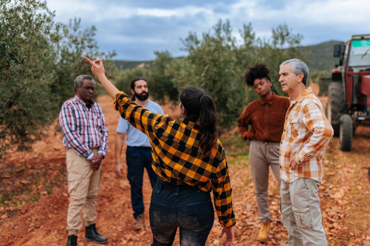 Multicultural group of farmers in olive grove