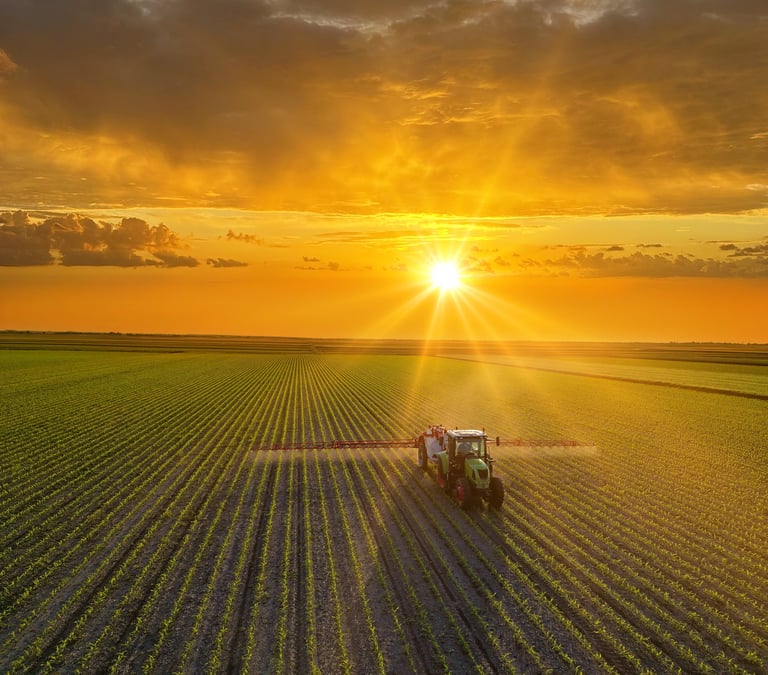 Aerial view of crop sprayer working on a corn field at sunset. Spring day landscape, rural scene.