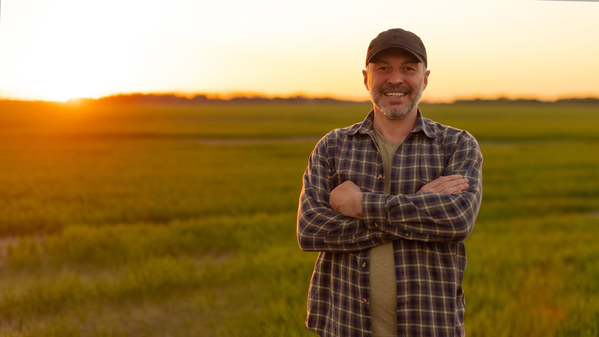 Male farmer in cap standing arms crossed in green wheat field at vivid orange sunset